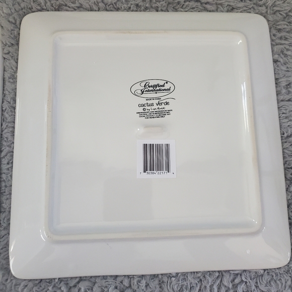 Cactus Verde Set of 4 Square 8.5" Ceramic Salad/Dessert Plates – Assorted Waterc - Picture 8 of 9